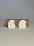 AMMONITA BLANCA 2 — Pendientes stud blanco